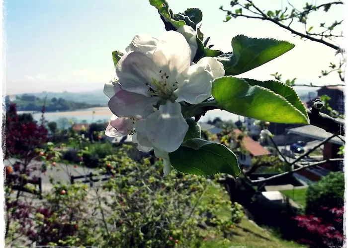 Séjour à la campagne El Labrador