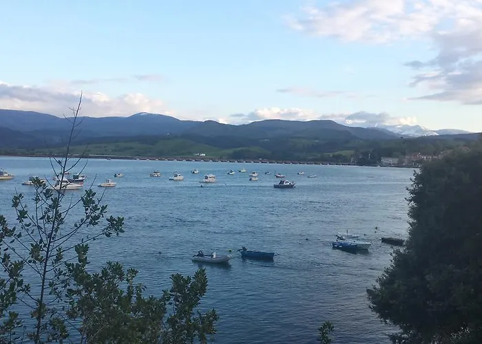 El Labrador San Vicente De La Barquera